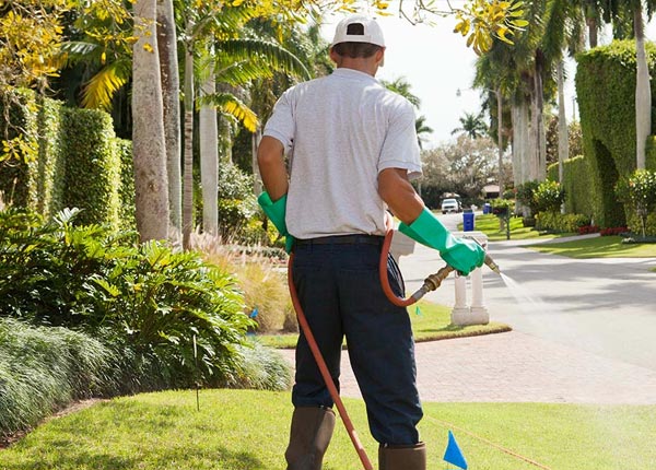 About Fish Haven ID Pest Control